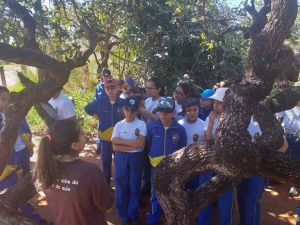 Fotos do Colégio Militar Tiradentes